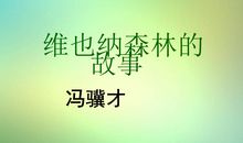 读《维也纳森林》有感