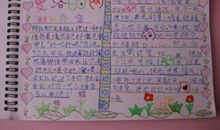 夏洛的网读后想