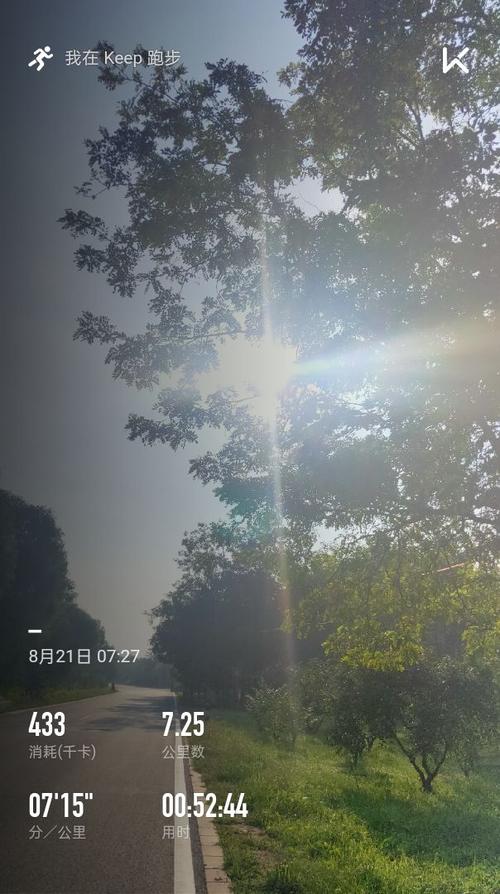 奔向太阳，永不停止
