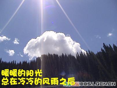 角落里的阳光挡不住风雨