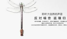 我渴望聆听大自然的声音