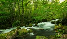 那小溪的风光最美丽