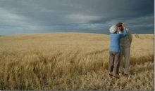 那时，我放飞了自己