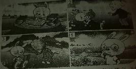 四眼兔子