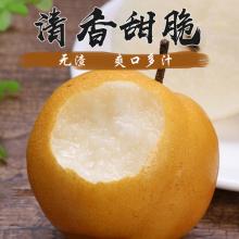 我最喜欢的水果梨