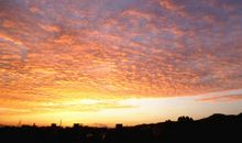 那个难忘的清晨