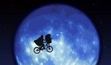 是你教会了我看星星