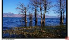 又是一年农家风光时