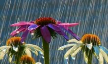 在暴风雨中舞蹈