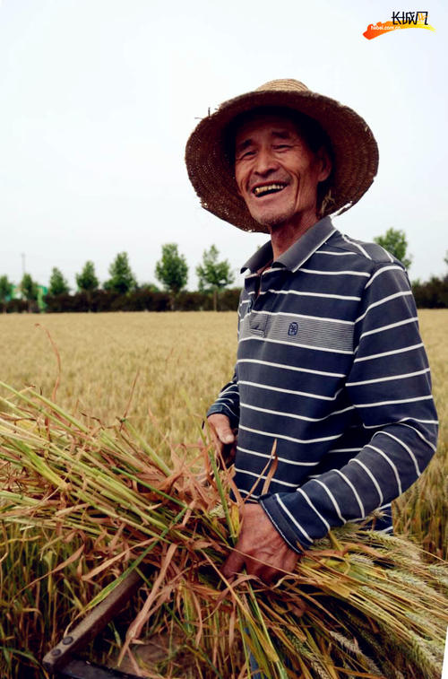 又是收获时间