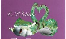 小号天鹅读后感