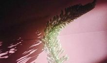 我想成为一名有担当的人