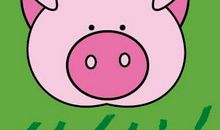 我是一只猪