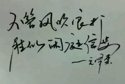 你的爱永不凋谢