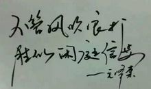 你的爱未曾枯萎