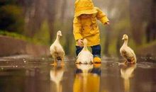 “共享时代”的情谊