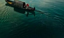 一袭烟雨一段情