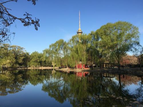 早晨的声音