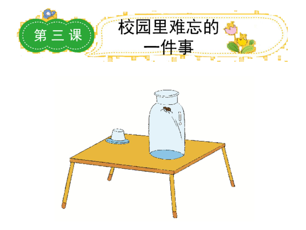 校园难忘的活动