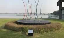 初冬的月湖公园