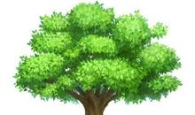 待小树长成大树……