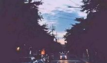 是你教会了我珍惜