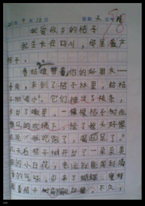 我爱桔子