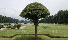 身在阴影，沐浴阳光