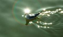 那一刻我身心温暖