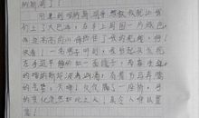写家庭的作文