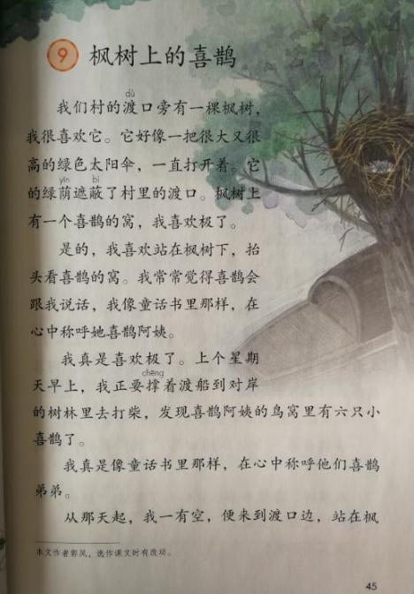 关于枫叶的组成