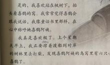 关于枫叶的作文