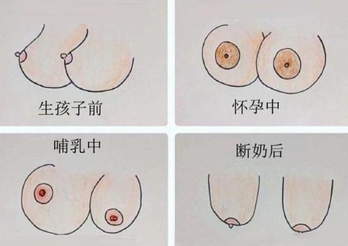 像母爱