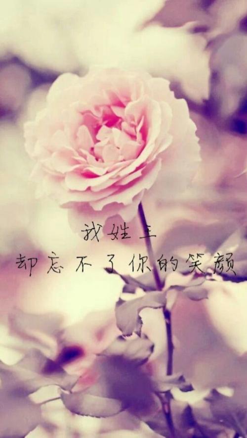 妈妈不能忘记你