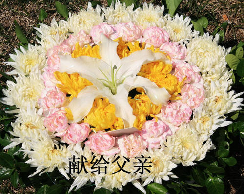 父亲小姐