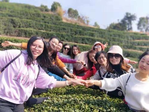 回忆的芬芳