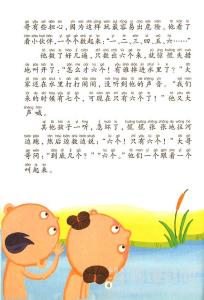 我的阅读故事