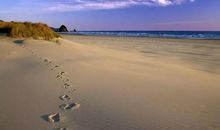 在挫折中学会坚强