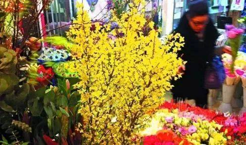 参观“新年花市”