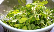 雨声是春天里低缓的音符