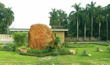 游广州华南植物园