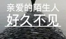 《亲爱的陌生人》读后感