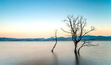 记忆中最美的风景