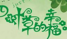 读《四叶草的约定》有感