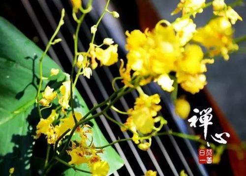 通过石头减少积聚成更多的水滴
