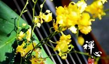 积少成多水滴石穿