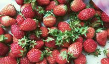 买草莓