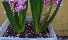 不经意间的温暖