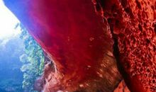 爱，在生命的色彩中流放