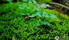 让我又爱又恨的雨
